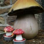 Mushroom gifts