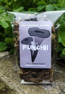 Get Funghi's Horn of Plenty