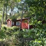 A house in the woods, Dalsland