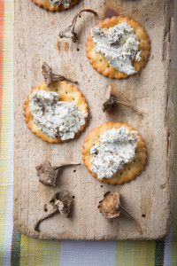 Winter chanterelle & stilton pate