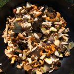 Wild mushroom foray fry up